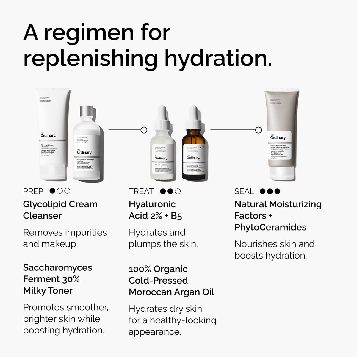 Organic Cold-Pressed Moroccan Argan Oil Daily Treatment Ritual F5