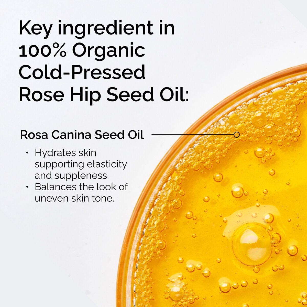 Organic Cold-Pressed Rose Hip Seed Oil Nourishing Face Oil D0