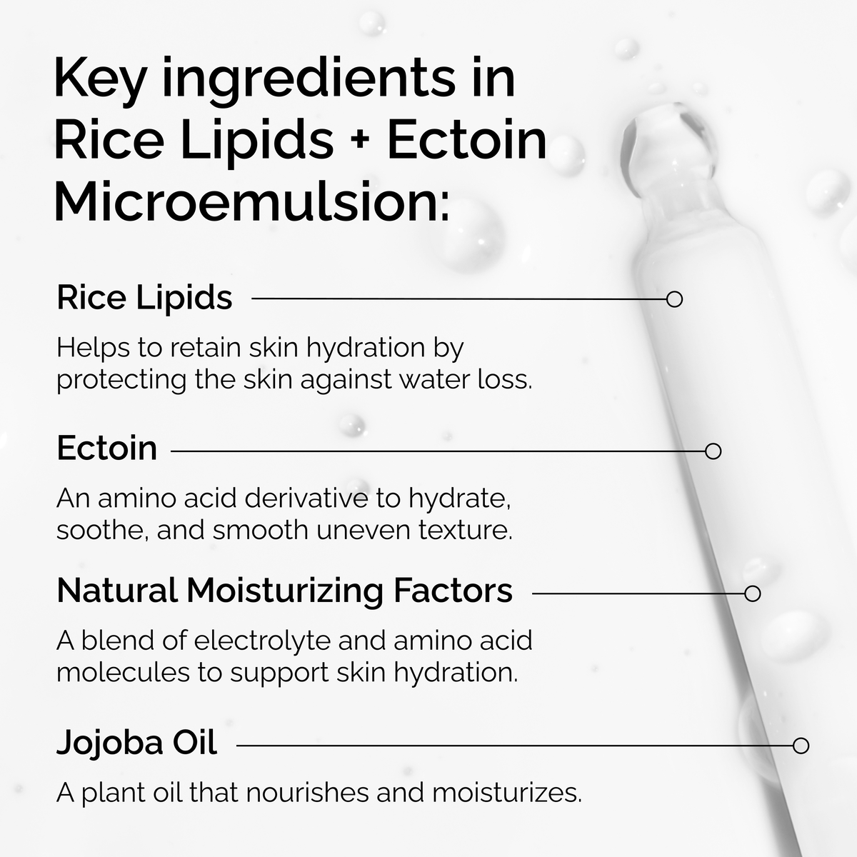 Rice Lipids + Ectoin Microemulsion Curated Care Set I1