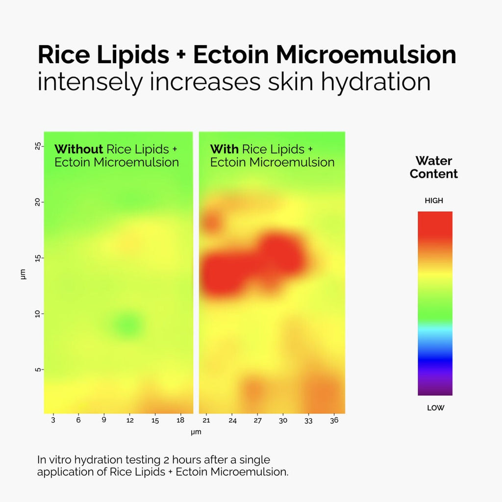 Rice Lipids + Ectoin Microemulsion Curated Care Set I1